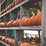 体验皇冠体育app娱乐:从新手到高手的成长之路 2gq78qva