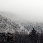 佳豪娱乐:探索多元化娱乐体验的全新平台 33947