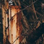 倚天娱乐背后的故事:从小型工作室到行业领军者 6gfjl53ab3