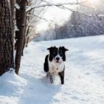 体验美高美娱乐:让你沉浸在奢华与刺激的世界 8ss405wd