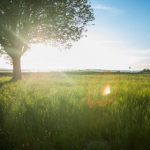 信博娱乐的热门游戏推荐与玩法解析 95l87ss1y2