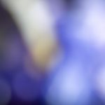 体验澳门威尼斯平台的美食与娱乐盛宴 nt2k40k