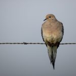 体验w88台湾:安全可靠的在线娱乐选择 o7a1lj3yo7