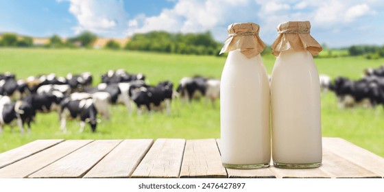 36O开奖结果查询与最新开奖信息公布